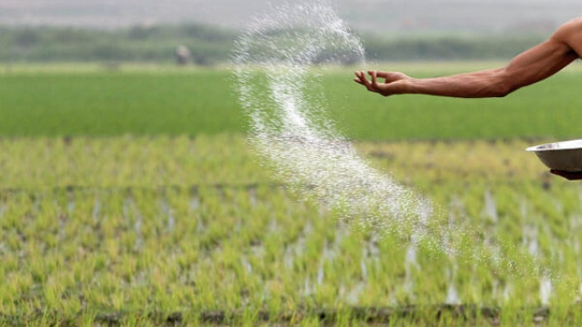 Unleashing the Power of Nature: Exploring Organic Soils and Fertilizers