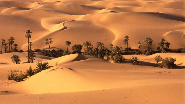 Unlocking the Mysteries of the Sahara: A Journey Through the World’s Largest Desert