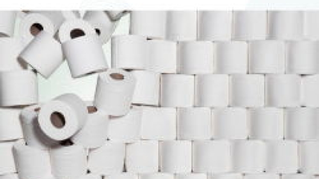 Unveiling the Surprising Origins: The Journey of Toilet Paper Manufacturing