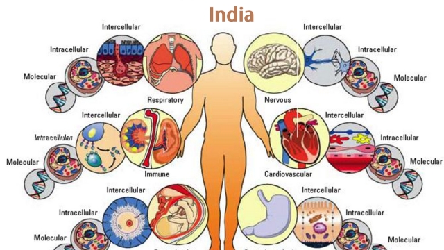 The Promising Science of Stem Cell Therapy: Unleashing the Healing Power Within