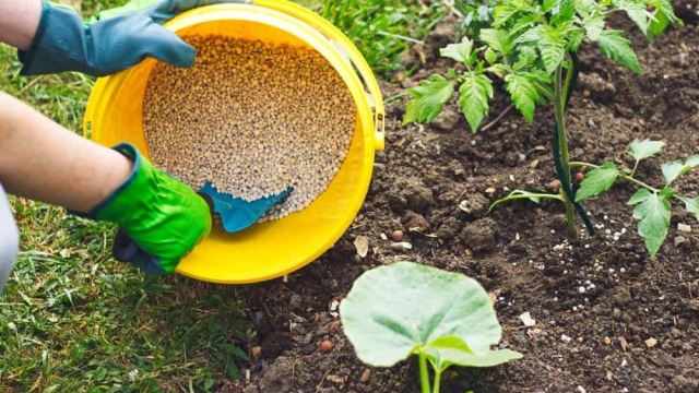 Revitalizing Gardens: Exploring the Power of Organic Soil and Fertilizer