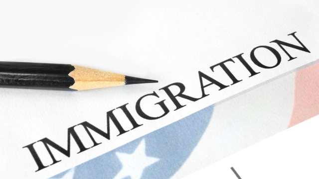 Navigating the Complexities of Immigration Law