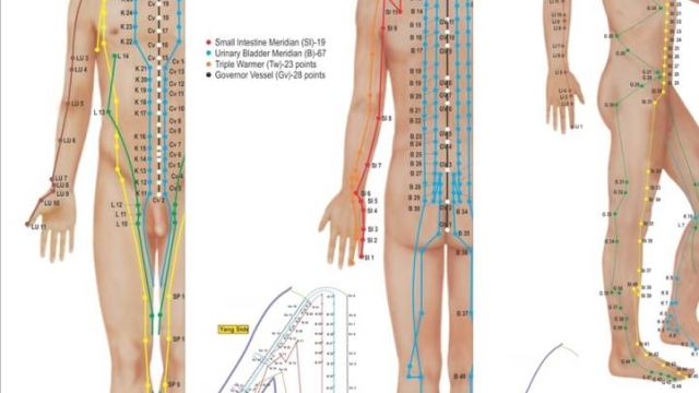 The Art of Acupuncture: Unveiling the Ancient Healing Wonders