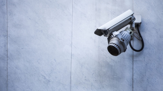 The Ultimate Guide to Buying Wholesale Security Cameras for Maximum Surveillance