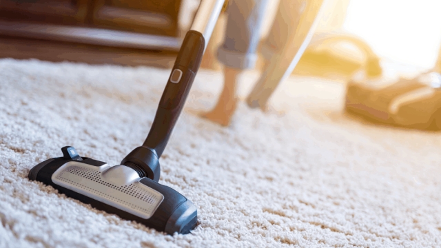 Revamp Your Space: The Ultimate Guide to Carpet Cleaning