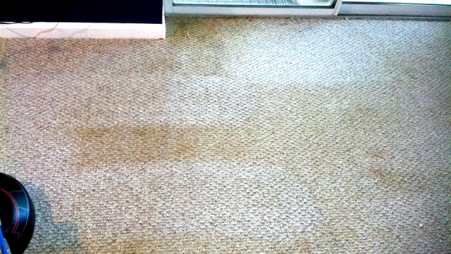 Reviving Your Home: The Ultimate Guide to Carpet Cleaning