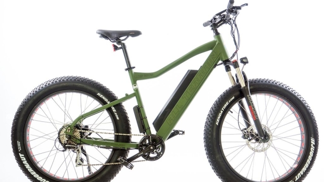 Silent Pursuit: The Rise of Electric Bikes in Hunting