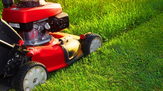 The Ultimate Guide to Achieving a Luscious Lawn through Proper Mowing and Care