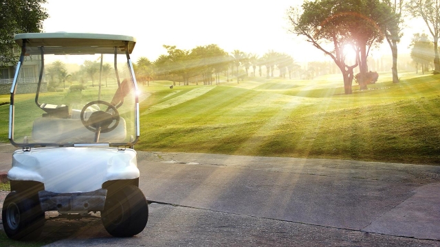 Golf Cart Chronicles: Exploring the Green in Style