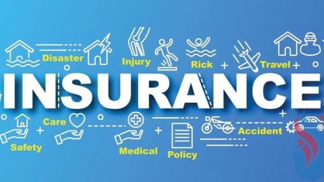 Insuring Your Tomorrow: Behind the Scenes of an Insurance Agency