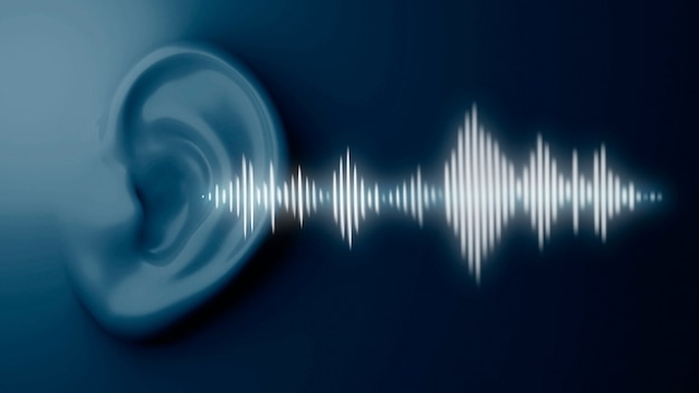 Breaking the Silence: Innovative Sound Barrier Solutions for a Quieter World