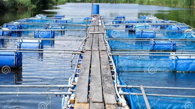 Revolutionizing the Blue: Innovations in Aquaculture Technology