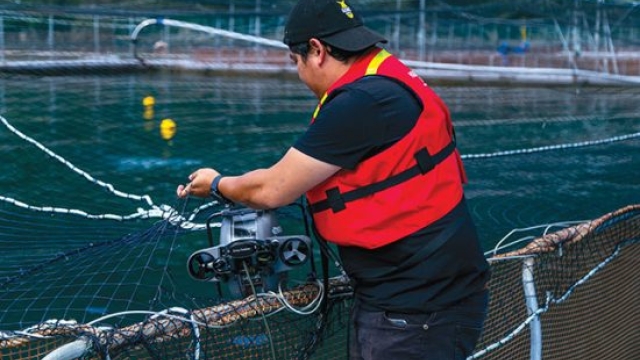 Revolutionizing the Seas: The Future of Aquaculture Technology