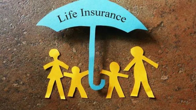 Unlocking the Insurance Puzzle: Your Guide to Smart Coverage Choices