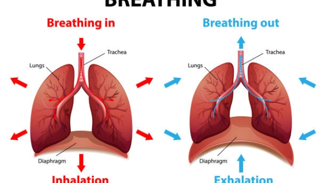 Breath of Innovation: Exploring the Future of Inhalation Devices