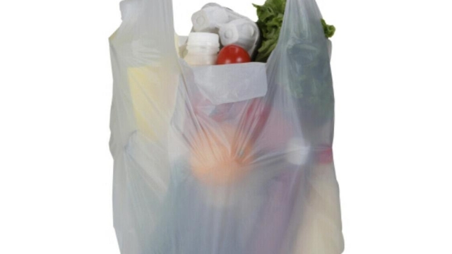 From Convenience to Controversy: The Plastic Bag Dilemma